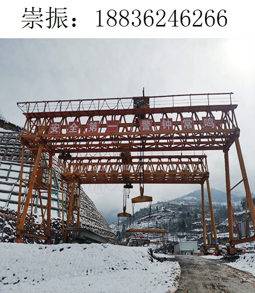 6266崇振龙门吊189